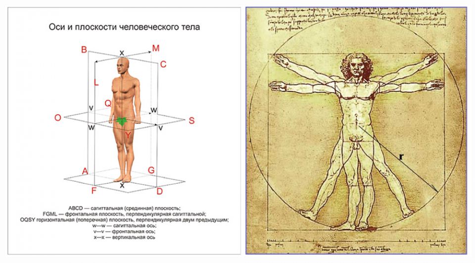 Три оси человека. Оси и плоскости в анатомии человека. Анатомия плоскости и оси тела. Схемы плоскостей и оси тела человека. Оси тела человека в анатомии.